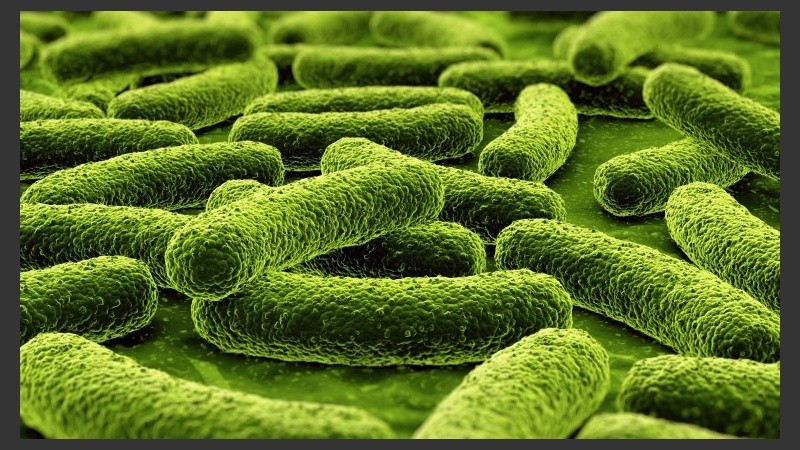 En el último decenio la tasa de notificación de tuberculosis descendió un 3% anual para el total de casos nuevos. 