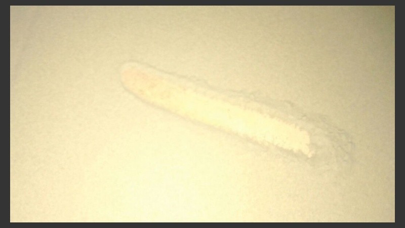 La ceniza se acumulaba sobre las superficies.