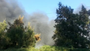 El fuego arrasó con todo en la fábrica de zona oeste.