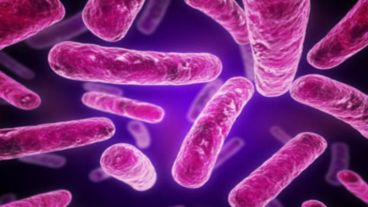 Cada año, por ejemplo, se registran cientos de miles de nuevos casos de tuberculosis multiresistentes que son imposibles de tratar.