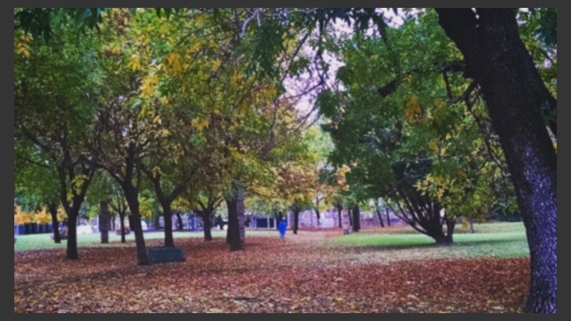 El otoño está presente en la humedad y en los tonos de los parques. 
