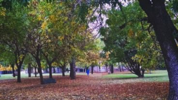 El otoño está presente en la humedad y en los tonos de los parques.