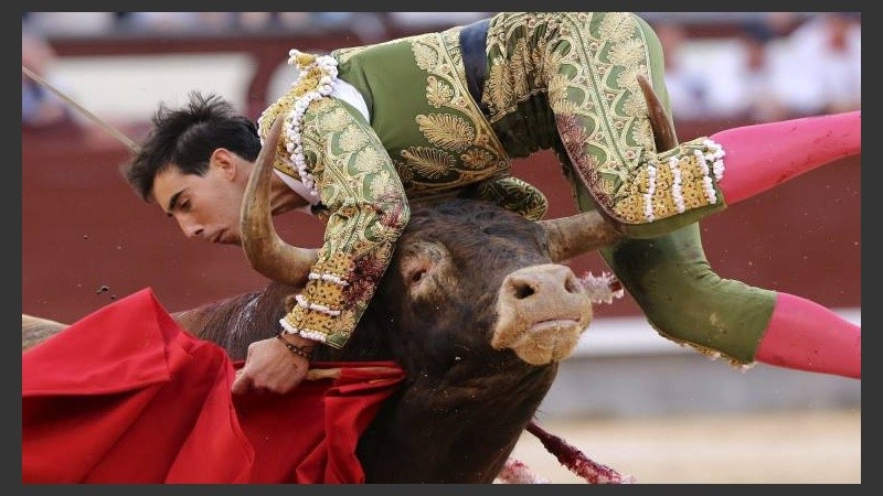 Jimémez Forte fue embestido por el toro. Una vez en el piso, el animal lo hirió en el cuello.