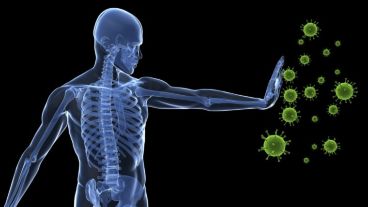 La investigación ayuda a explicar por qué tantas enfermedades son mucho peores durante el invierno.