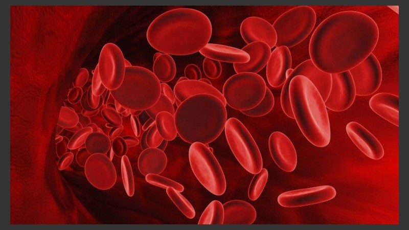 El avance que podría conducir a una cura para la anemia de células falciformes y otros trastornos de la sangre.
