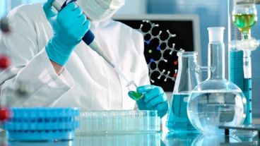 Funciona como un agente antineuroinflamatorio que puede aliviar el daño causado por las proteínas beta-amiloides en las neuronas.