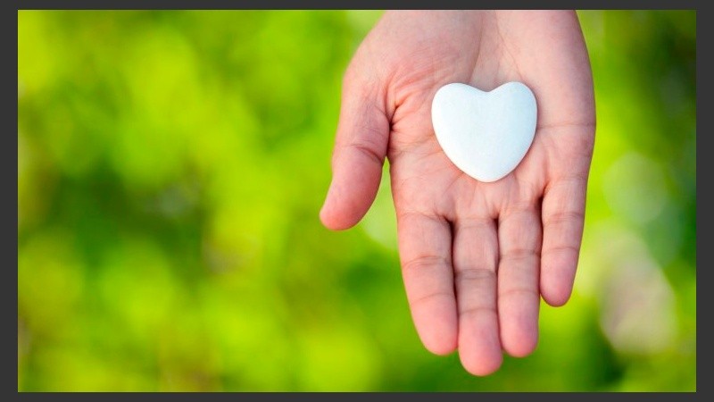 El Día Nacional del Donante de Órganos se celebra anualmente cada 30 de mayo.