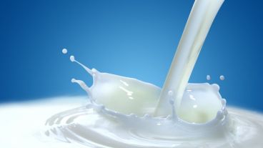 Cuanto más productos lácteos de bajo contenido graso se consumen hay menor riesgo de hipertensión.