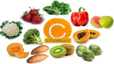 La ingesta de vitamina C es necesaria para el crecimiento y la reparación de tejidos.