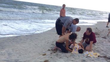 Los jóvenes sufrieron los ataques mientras nadaban en la playa de Oak Island.