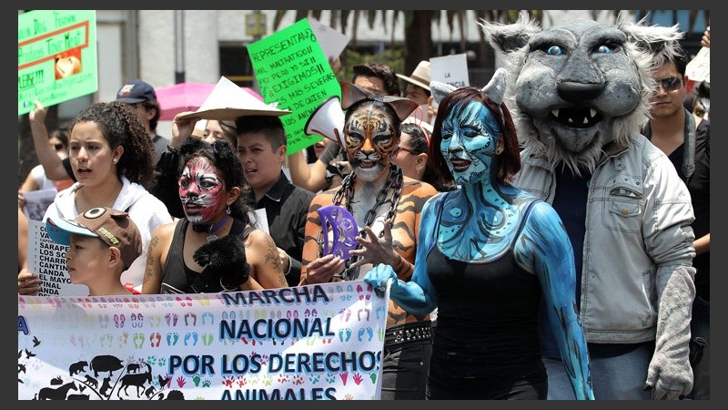 En México marcharon disfrazados a favor de los derechos de los animales.