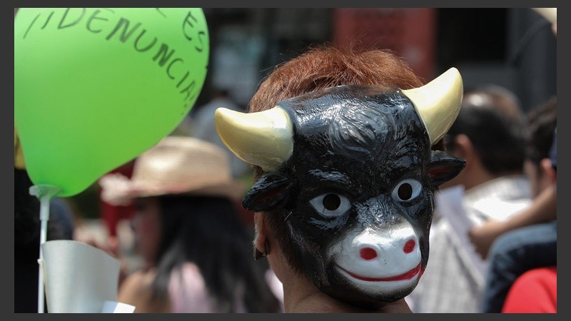Además, reclamaron la prohibición de las corridas de toros en todo México.