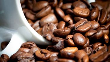 El consumo de agua, los deportes, la ingesta de frutas y chocolate, y unos buenos mates aparecen como alternativas al café a la hora de "despertarse".