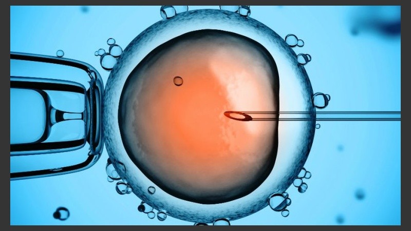 Esta técnica consiste en la realización de un pequeño orificio en la zona pelúcida (membrana externa del embrión).