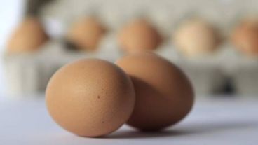 Truco: poner el huevo en un vaso con agua. Si es fresco, se hunde, mientras que si flota, es signo de alteración y mal estado.