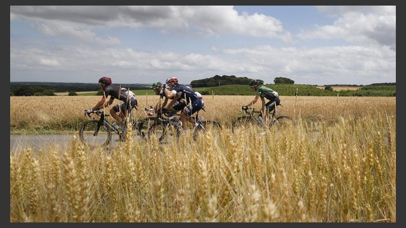 Un grupo de ciclistas pasan por los campos del poblado Mur De Bretagne al noroeste de Francia. (EFE)