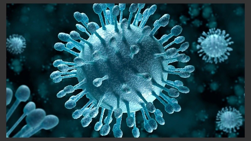 El martes en Rosario, se llevará a cabo la actividad central en la Plaza Montenegro de 10 a 15.