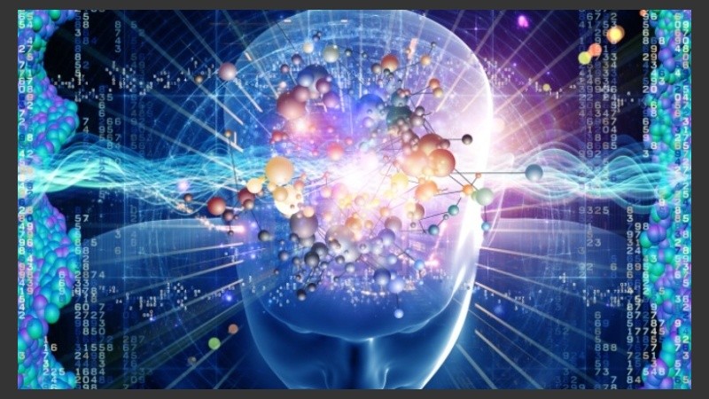 Emilio Kropff, un neurocientífico argentino descubrió la pieza faltante del GPS cerebral.