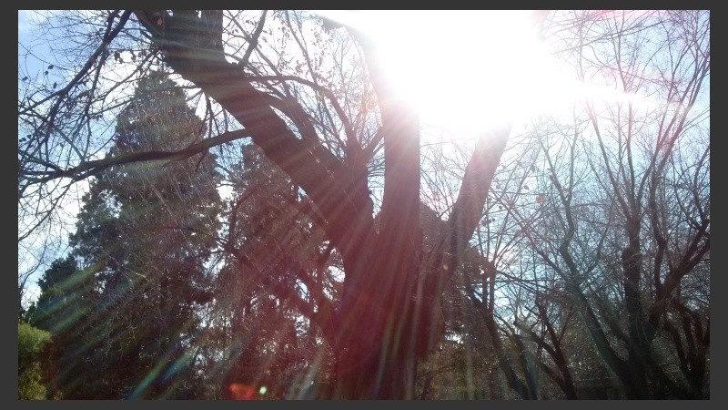 El sol se mantendrá este domingo en la región.