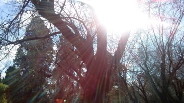 El sol se mantendrá este domingo en la región.