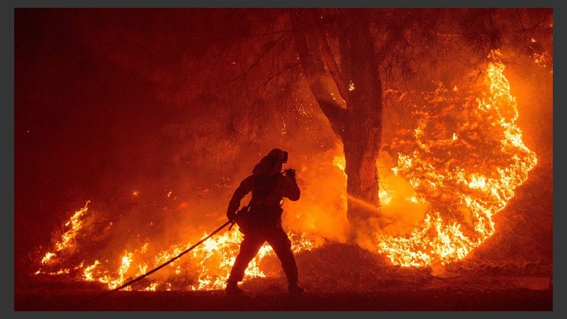 Hasta el momento, el fuego quemó 60 mil hectáreas según el Departamento de Bomberos de California. (EFE)