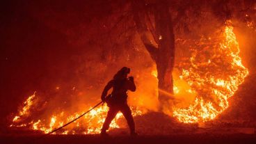 Hasta el momento, el fuego quemó 60 mil hectáreas según el Departamento de Bomberos de California. (EFE)