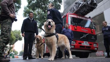 Los bomberos y los perros de rescate también dijeron presente. (Alan Monzón/Rosario3.com)