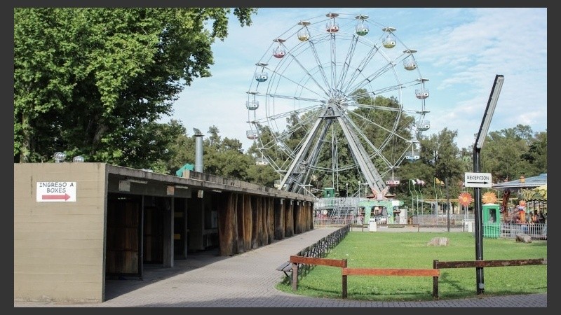 La concejala Gigliani pidió acciones al municipio.