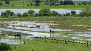 Muchos anegamientos se deben a que el suelo no absorbe como debería.