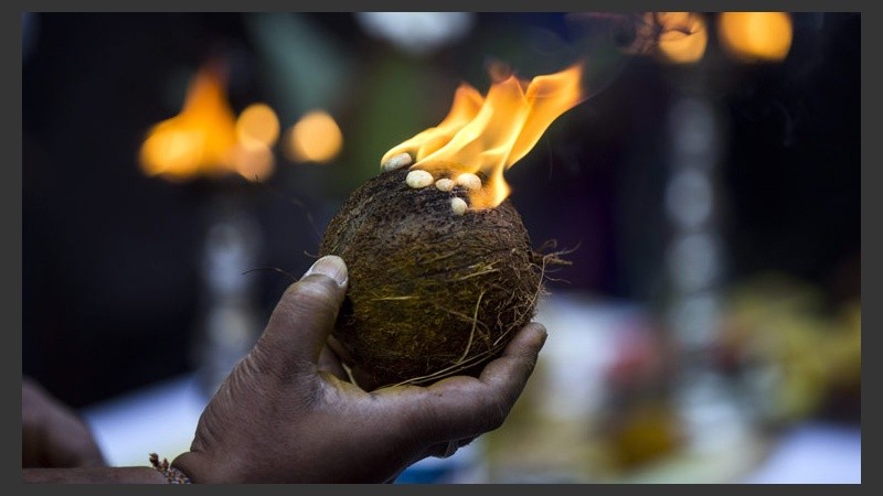 Vista de uno de los cocos listo para ofrecer al Dios con cabeza de elefante. (EFE)