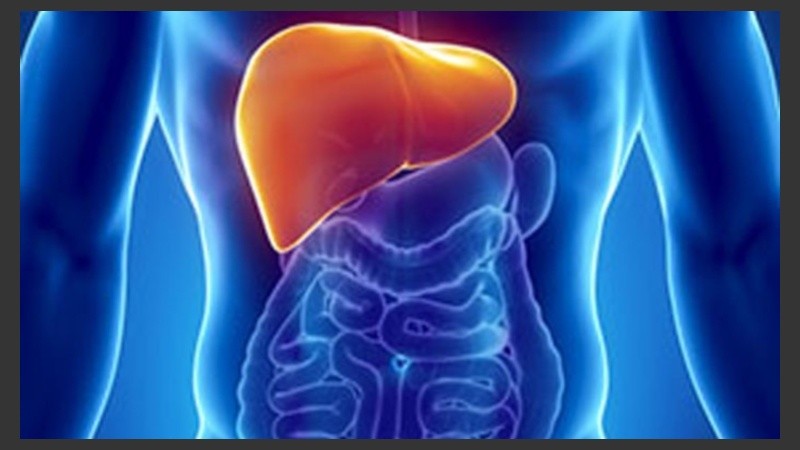 La investigación identificó exactamente cuál de los pacientes desarrollará cáncer de hígado y cirrosis.