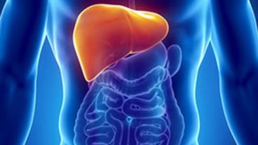 La investigación identificó exactamente cuál de los pacientes desarrollará cáncer de hígado y cirrosis.