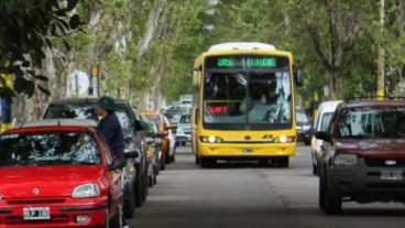 El municipio quiere cámaras en todos los colectivos del transporte público.