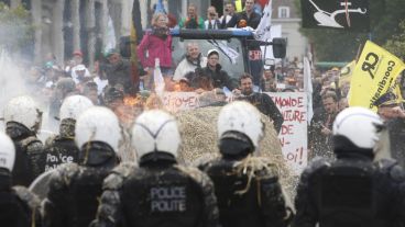 Bélgica: fuerte cruce de agricultores con la policía en protesta por el precio de la leche. (EFE)