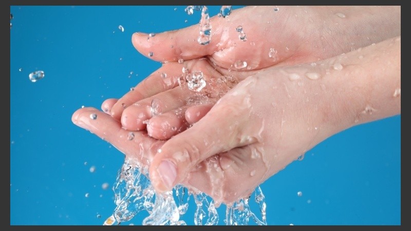 Entre las 12 y 24 hs del procedimiento se encuentran en condiciones del alta hospitalaria.