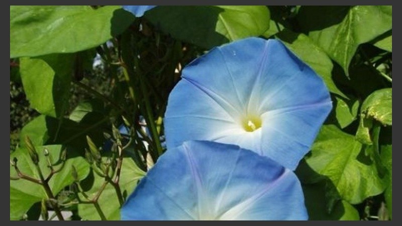 Azul para este lunes de septiembre. 