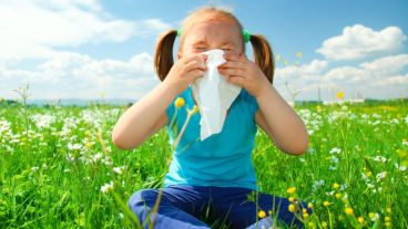 "El descubrimiento de este mecanismo podría ser la base de una nueva forma de tratar las alergias", dijo el investigador.