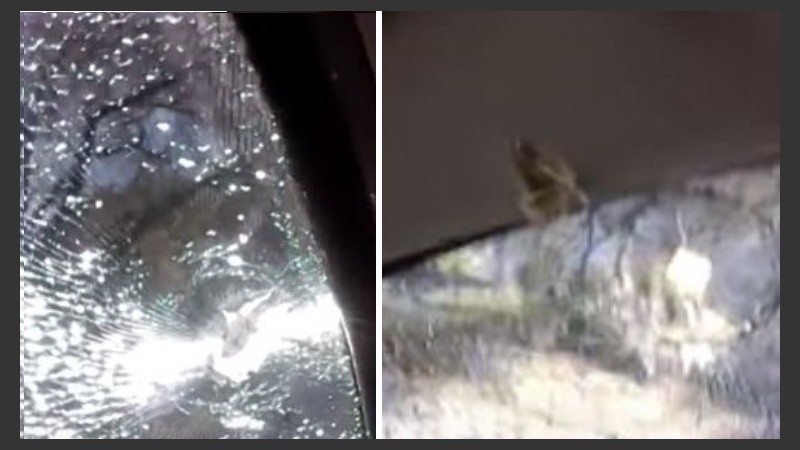 Contó en video cómo una bala perdida impactó en su auto.
