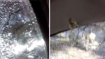 Contó en video cómo una bala perdida impactó en su auto.