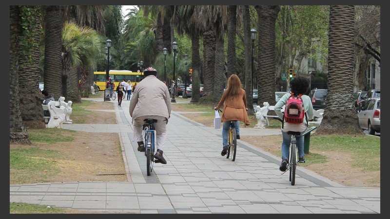 Gran cantidad de bicicletas circulan por el bulevard diariamente.