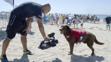 Este perro brasilero posa ante cámara durante la jornada de competencia. (EFE)