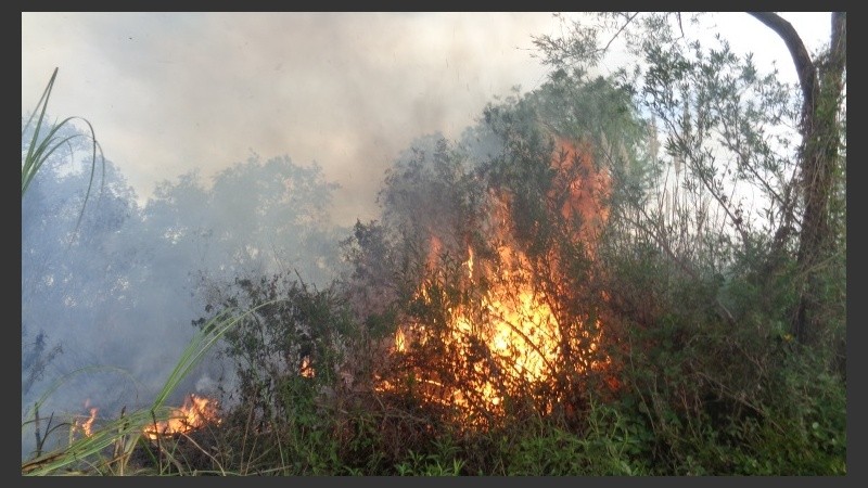 Las llamas avanzaron por efecto del viento sur.