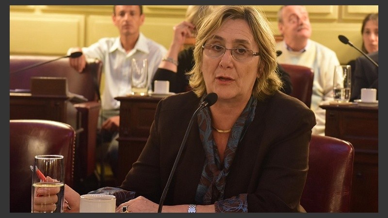 El proyecto de la diputada Bertero logró media sanción por 20 votos contra 13.