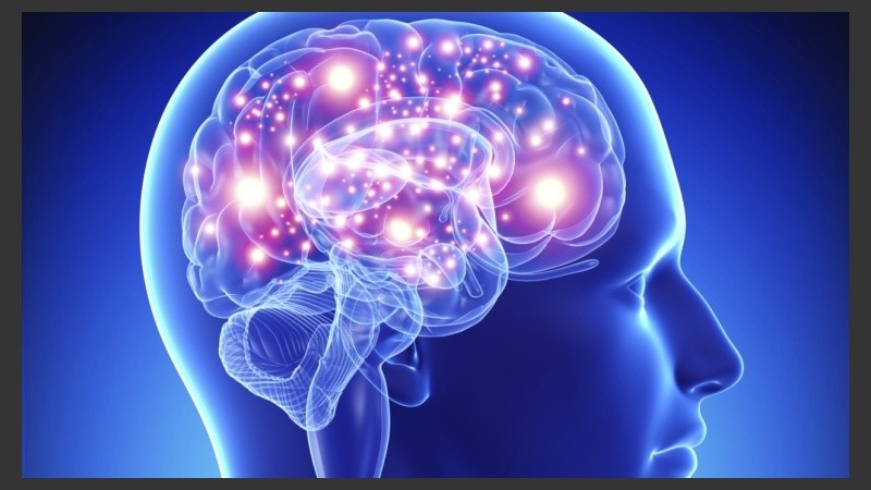 La conciencia es el cerebro, no existiría si no fuese por él.