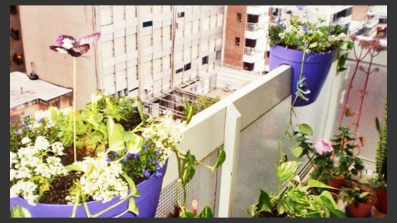 Al balcón de Giorgina llegó la primavera hace rato. 