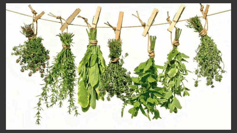 Cada viernes a las 10 se brinda un taller gratuito abierto a la comunidad sobre huerta medicinal y usos curativos de las plantas.