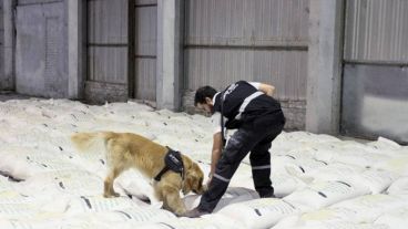La causa del narco arroz se inició por un cargamento descubierto en Rosario.