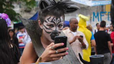 Una cebra chequea el celular y mira de reojo la cámara. (Alan Monzón/Rosario3.com)