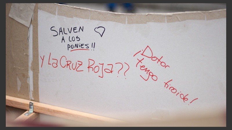 Doctor..¿qué tengo? Los chicos se recibieron tras largos años de estudio. (Alan Monzón/Rosario3.com)