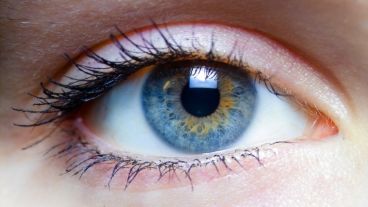 Los científicos focalizaron su estudio en una inmunopatología producida por el virus herpes en el ojo, la queratitis estromal herpética.